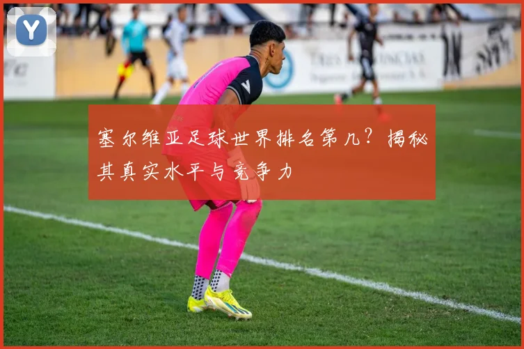 塞尔维亚足球世界排名第几？揭秘其真实水平与竞争力