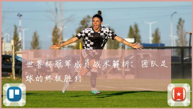 世界杯冠军成员战术解析：团队足球的终极胜利